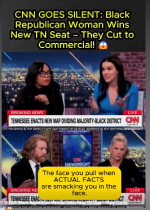 1778292039162.png