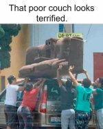 IMG_4992.jpeg