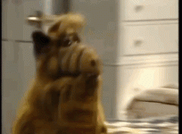 IMG_1430.gif