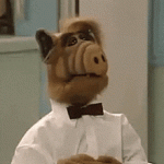 IMG_1434.gif