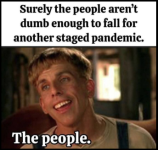 1779022378341.png