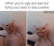 1779200379283.png