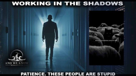 1780959129499.png 1780959129499.png