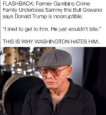 1781129447254.png