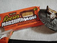 .reese.jpg