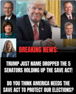 1782869068336.png 1782869068336.png