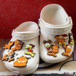 garfield crocs (1).jpg