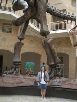fernbank.jpg
