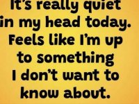 quiet.jpeg