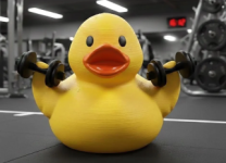 workout duck.png