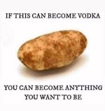 1784849491271.jpeg