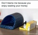 3292.jpg