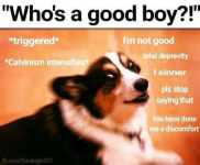 1785108353804.png