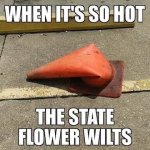 1785180113902.jpeg