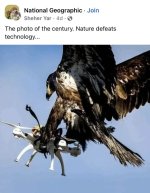 1785194864482.jpeg