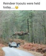 1785195319296.jpeg
