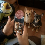 1785255683381.png