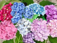 images-18.jpg