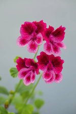 images-25.jpg