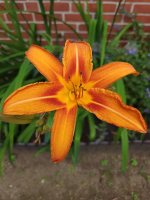 images-32.jpg