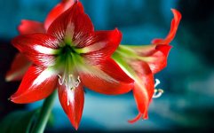 images-34.jpg