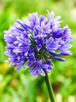 images-36.jpg
