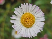 images-44.jpg
