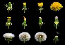 images-9.jpg
