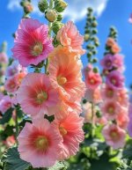 images-50.jpg