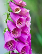 images-51.jpg