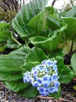images-53.jpg