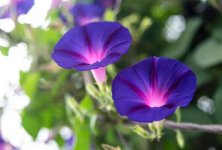 images-56.jpg