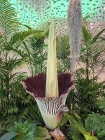 images-88.jpg