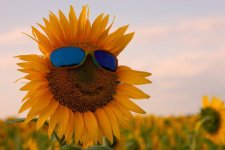 images-89.jpg