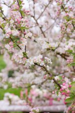 images-90.jpg