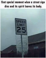 1785556499755.jpeg