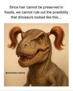 1785558404035.jpeg