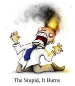 the-stupid-it-burns-quote-1.jpg