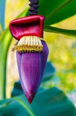 images-74.jpg