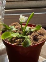 images-85.jpg