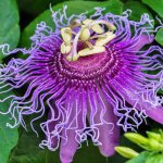images-83.jpg