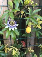 images-84.jpg