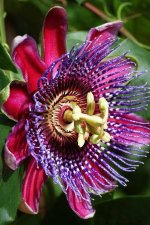 images-86.jpg