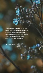IMG_3164.jpeg