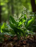 images-94.jpg