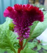 images-82.jpg