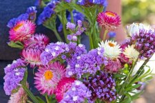 images-88.jpg