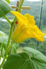 images-93.jpg