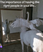 1785994261742.png