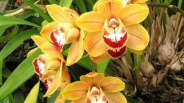 images-97.jpg